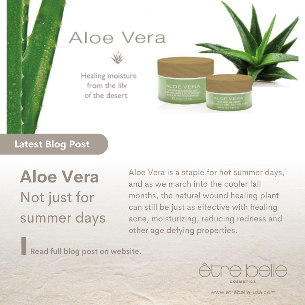 Aloe Vera: Not just for Summer Days