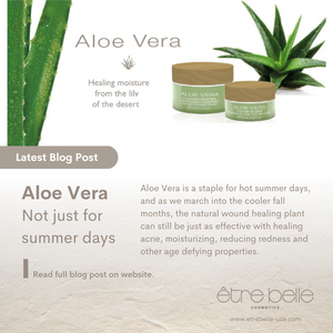 Aloe Vera: Not just for Summer Days